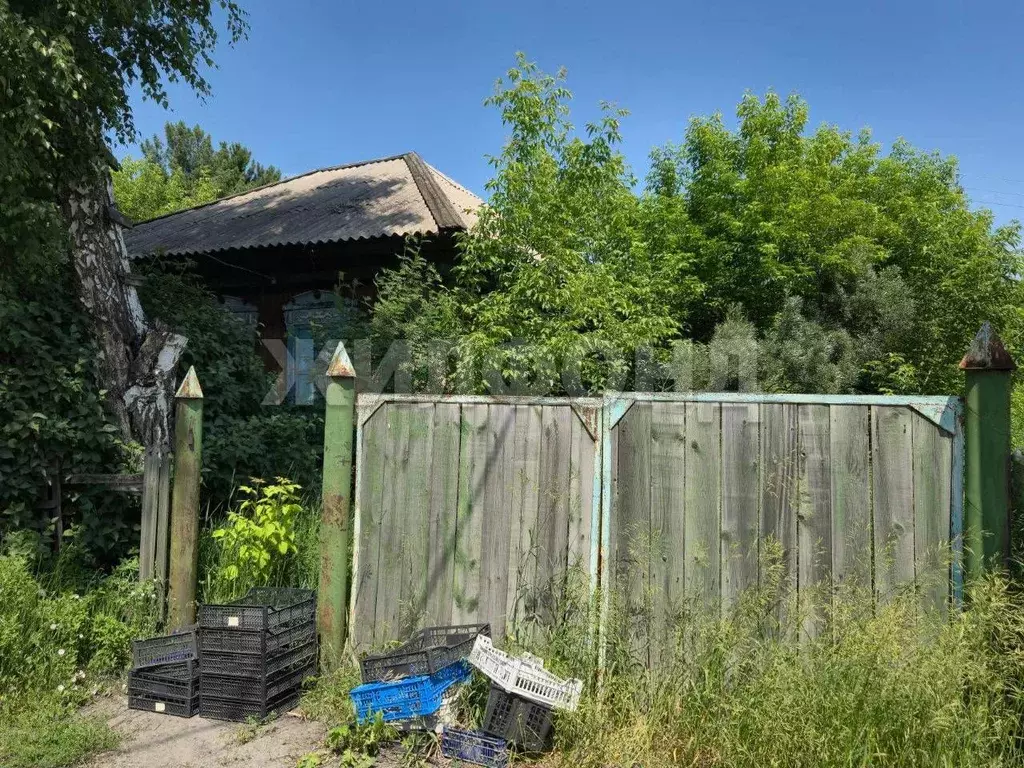 Дом в Новосибирская область, Ордынское рп ул. Гоголя (52 м) - Фото 0
