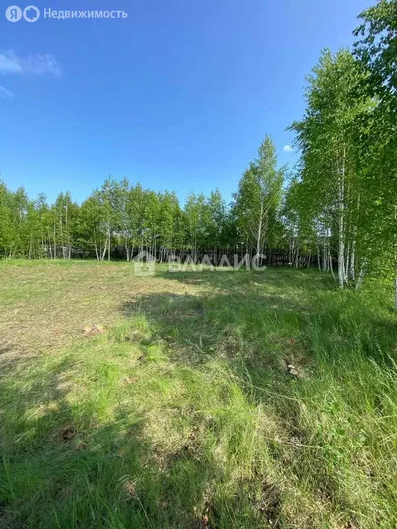 Участок в Баклашинское муниципальное образование, территория Ручеёк, ... - Фото 2