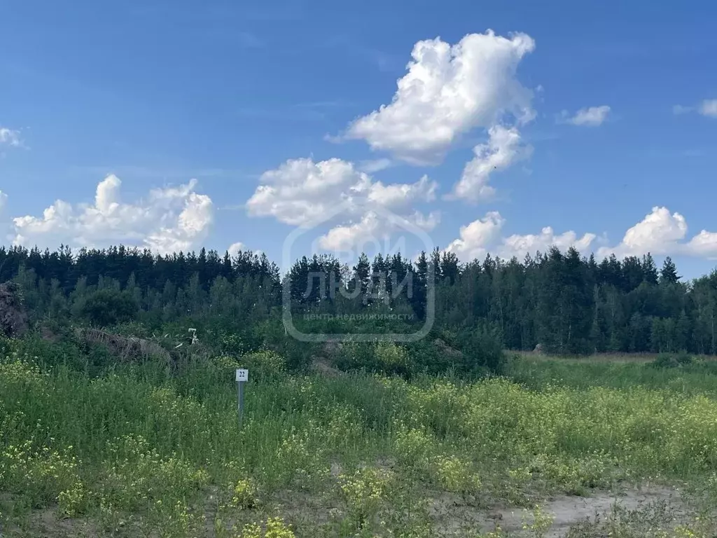 Участок в Рязанская область, Рязанский муниципальный округ, пос. ... - Фото 2