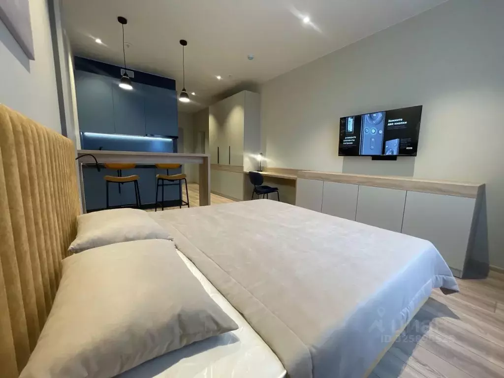 Студия Санкт-Петербург просп. Энергетиков, 8к2 (27.0 м) - Фото 2