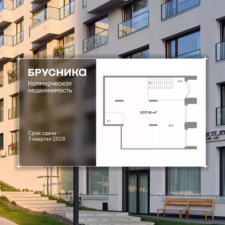 Помещение свободного назначения в Новосибирская область, Новосибирск ... - Фото 1