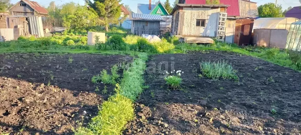 Участок в Тюменская область, Тюменский район, Рассвет СНТ ул. Рассвет ... - Фото 0