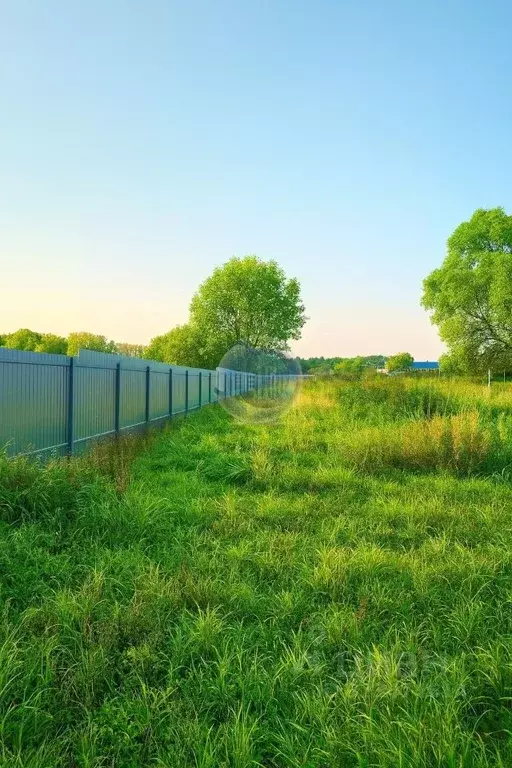 Участок в Московская область, Ленинский городской округ, д. Дроздово  ... - Фото 2