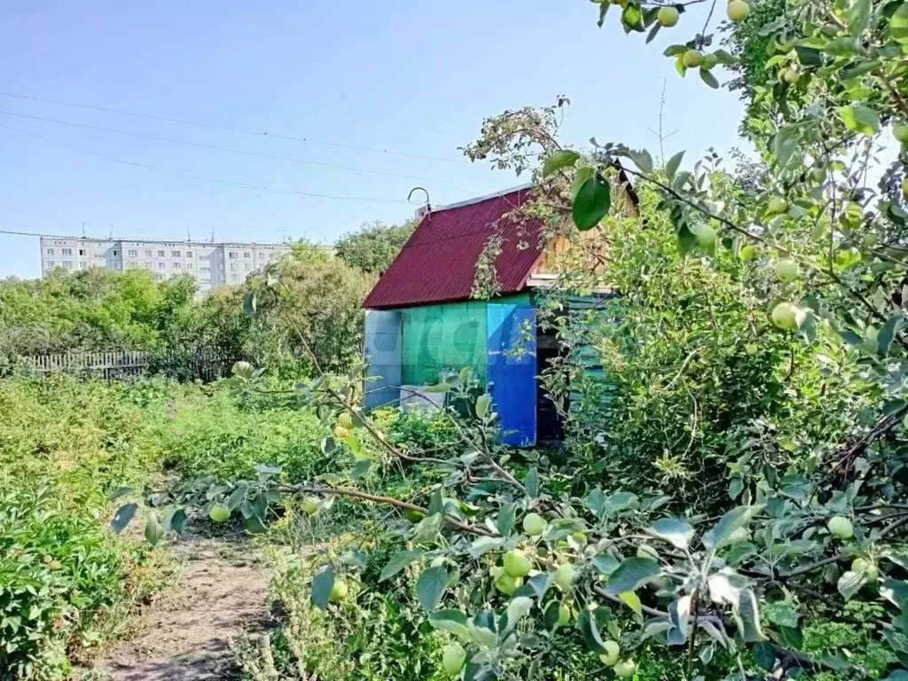 Шинник 2 Купить Дачу Омск Октябрьский Округ