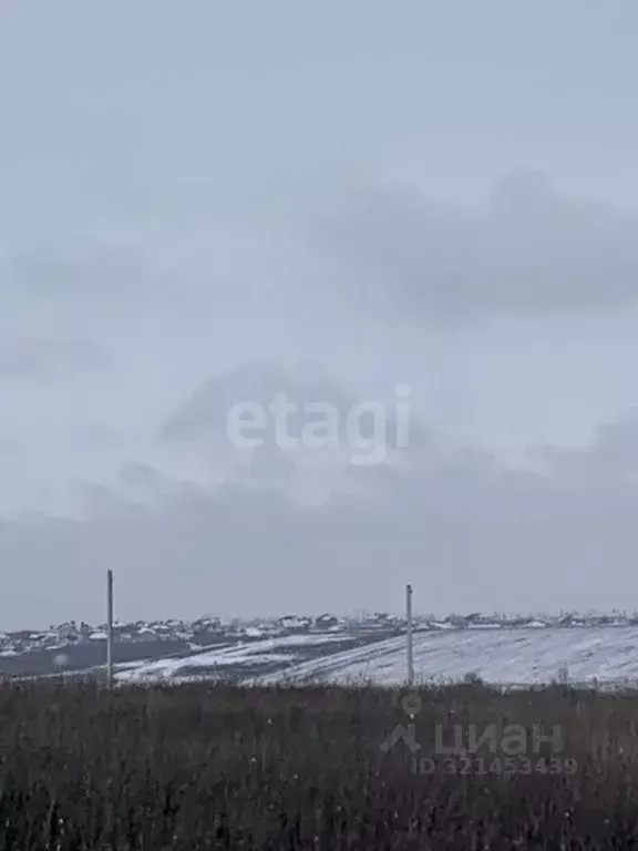 Участок в Белгородская область, Белгородский район, Головинское с/пос, ... - Фото 2