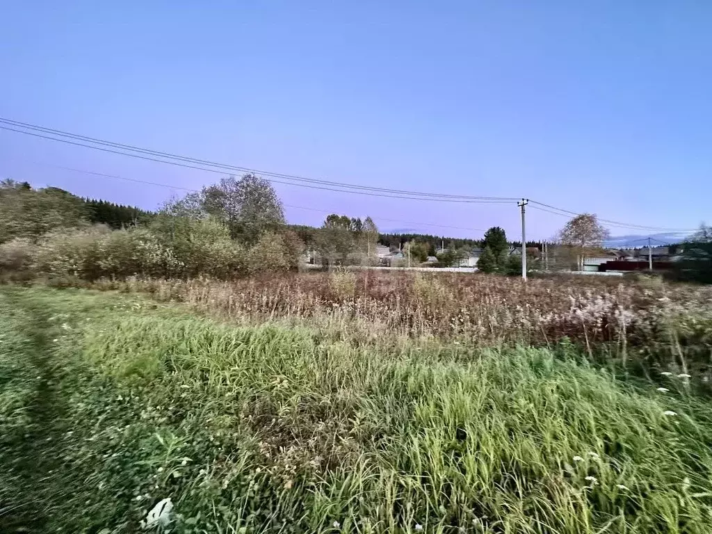 Участок в Свердловская область, Горноуральский городской округ, с. ... - Фото 1