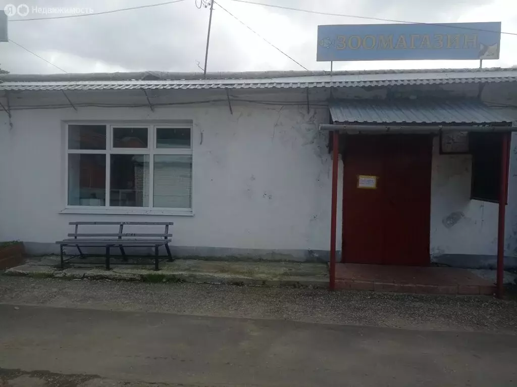 Помещение свободного назначения (53.6 м) - Фото 0
