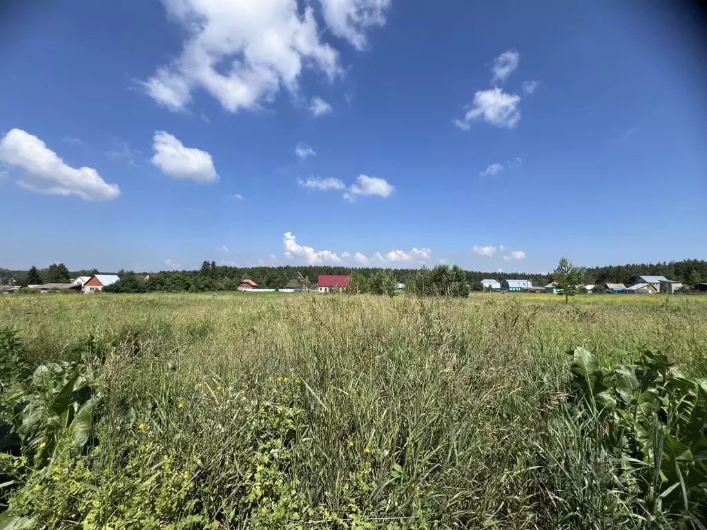 Участок в Алтайский край, Барнаул городской округ, пос. Мохнатушка ул. ... - Фото 0