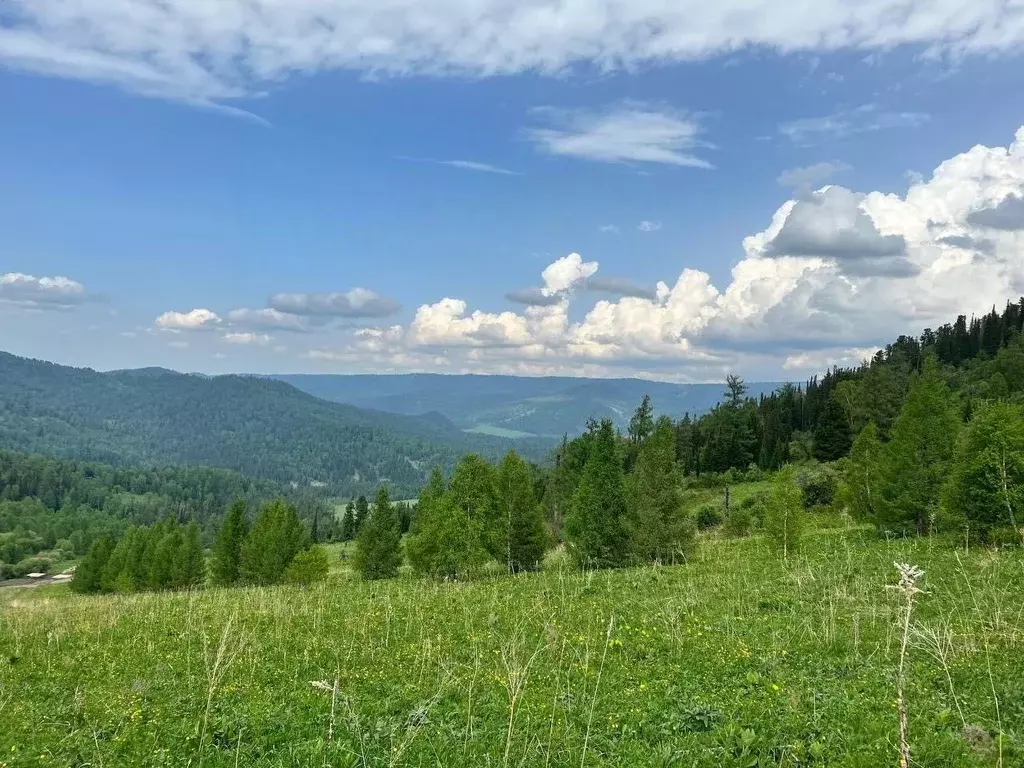 Участок в Алтай, Чемальский район, Седьмое небо кп  (23.0 сот.) - Фото 1