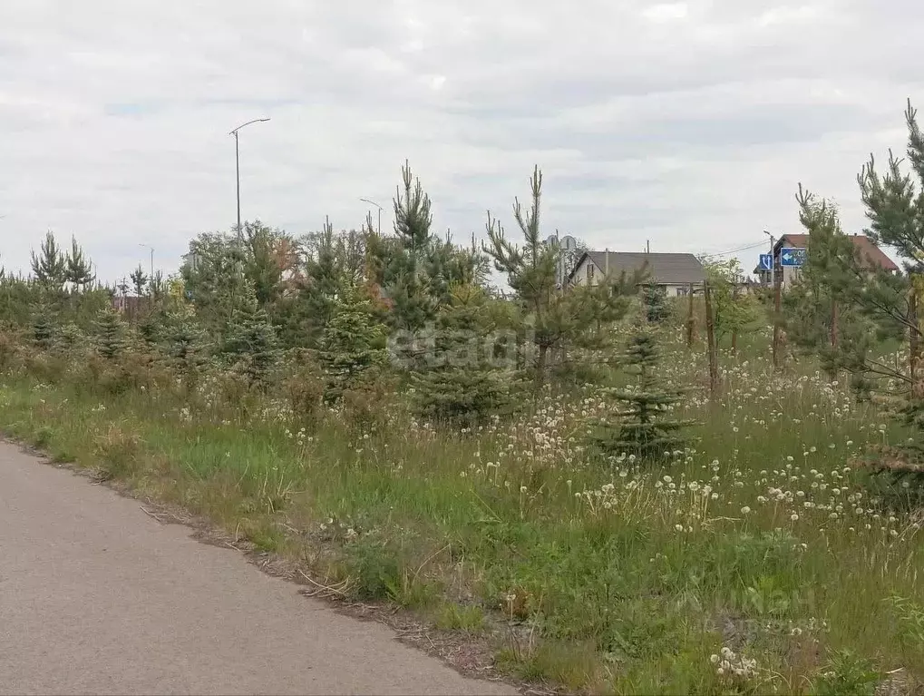 Участок в Белгородская область, Новооскольский муниципальный округ, с. ... - Фото 2