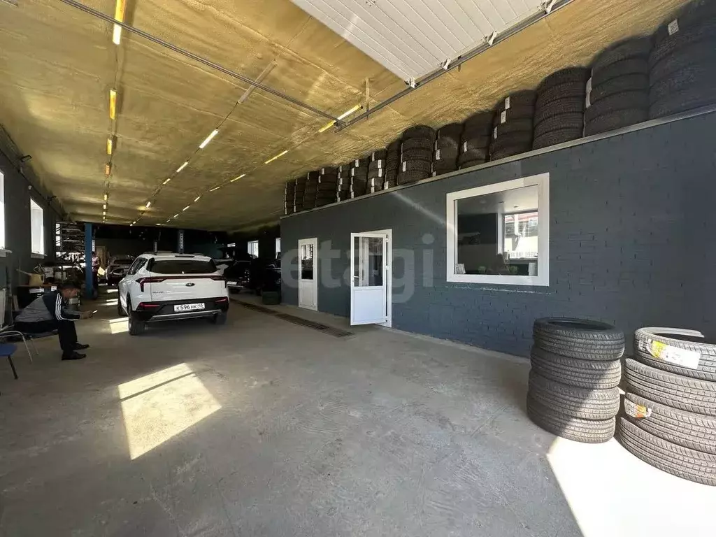 Помещение свободного назначения в Новосибирская область, Новосибирск ... - Фото 1