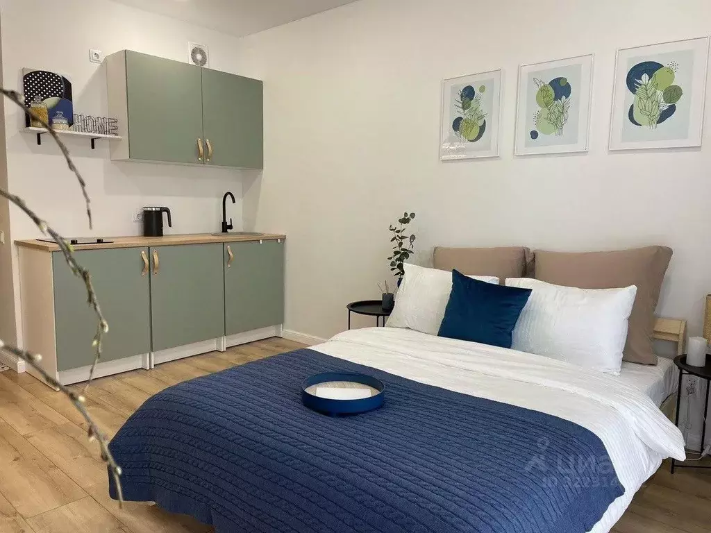 1-к кв. Псковская область, Псковский район, Писковичская волость, д. ... - Фото 1