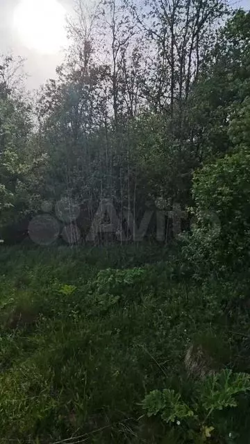 Участок 15 сот. (ИЖС) - Фото 1