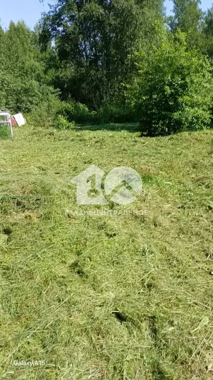 Участок в Новосибирская область, Новосибирский район, Станционный ... - Фото 1