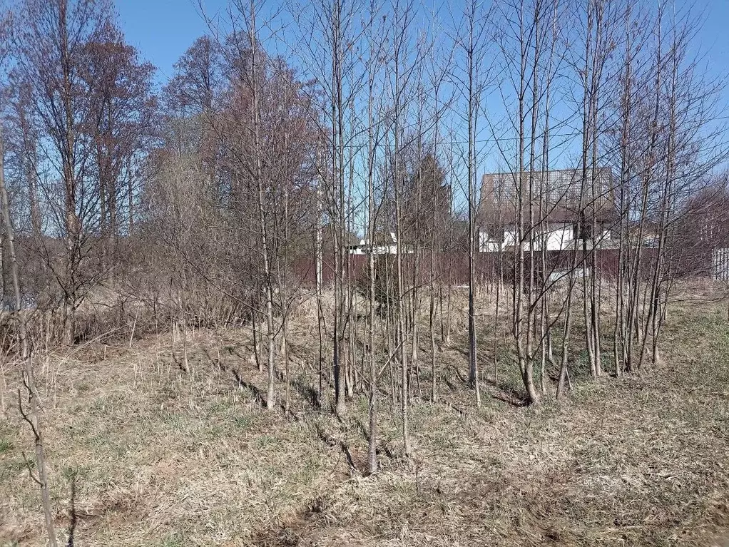 Участок в Москва д. Акулово, 1 (4.76 сот.) - Фото 1