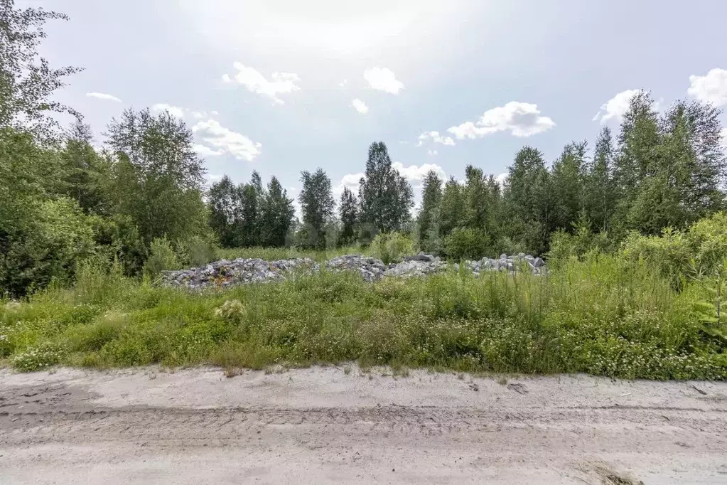 Участок в Тюменская область, Тюмень СОСН Березка-3 тер., ул. 9-я (8.35 ... - Фото 2