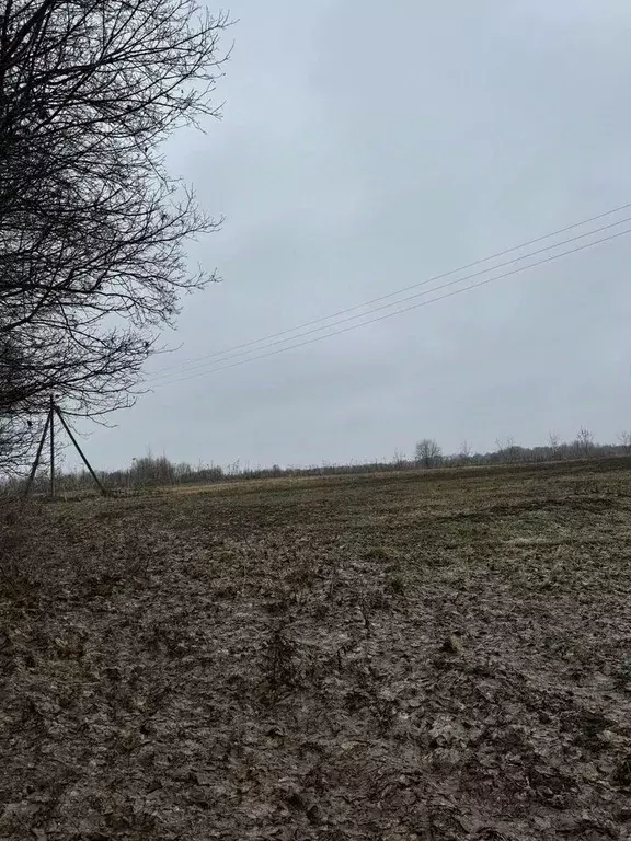 Участок в Калужская область, Козельский муниципальный округ, Подборки ... - Фото 2