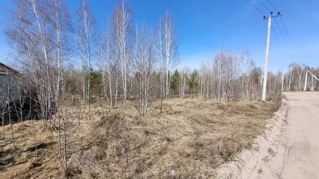 Участок в Курганская область, Кетовский муниципальный округ, д. Белый ... - Фото 2
