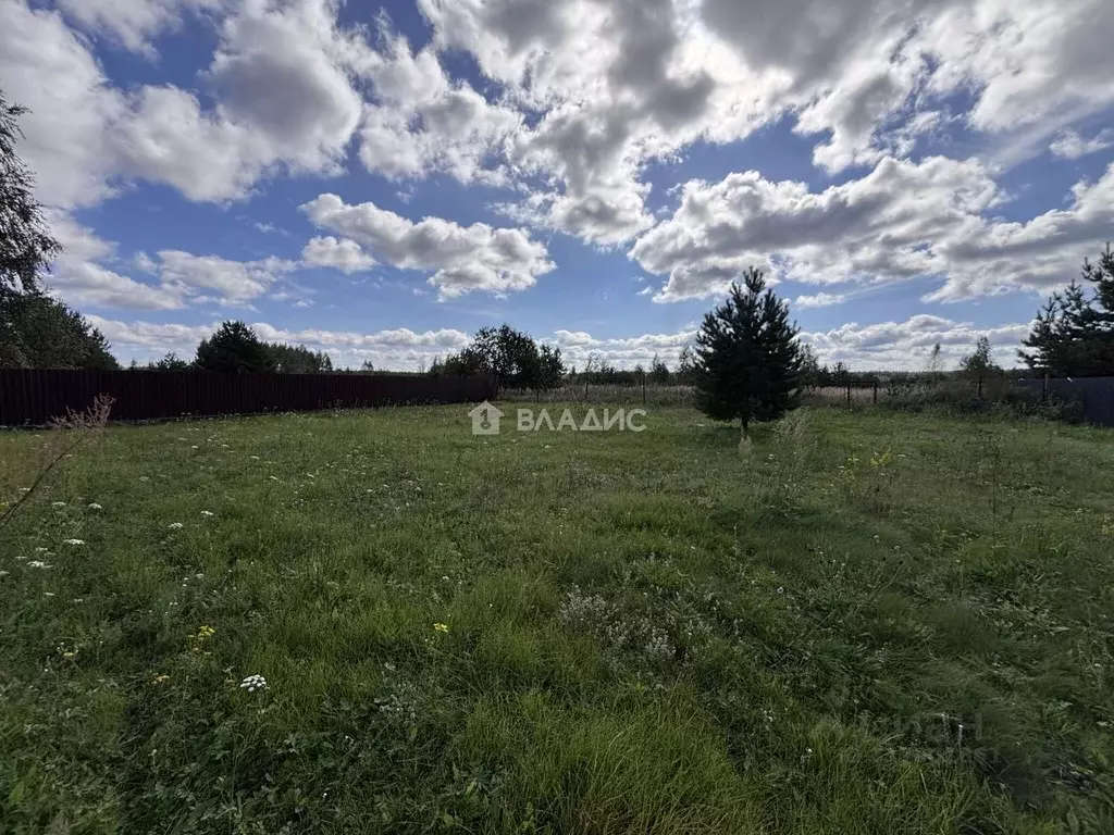 Участок в Владимирская область, Камешковский район, д. Брызгалово, д. ... - Фото 2