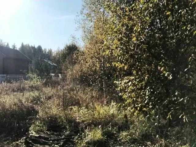 Участок в Московская область, Наро-Фоминский городской округ, д. ... - Фото 2