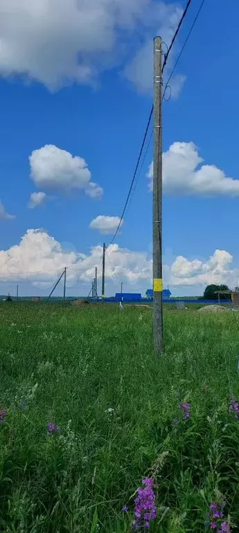 Участок 13 сот. (ИЖС) - Фото 0
