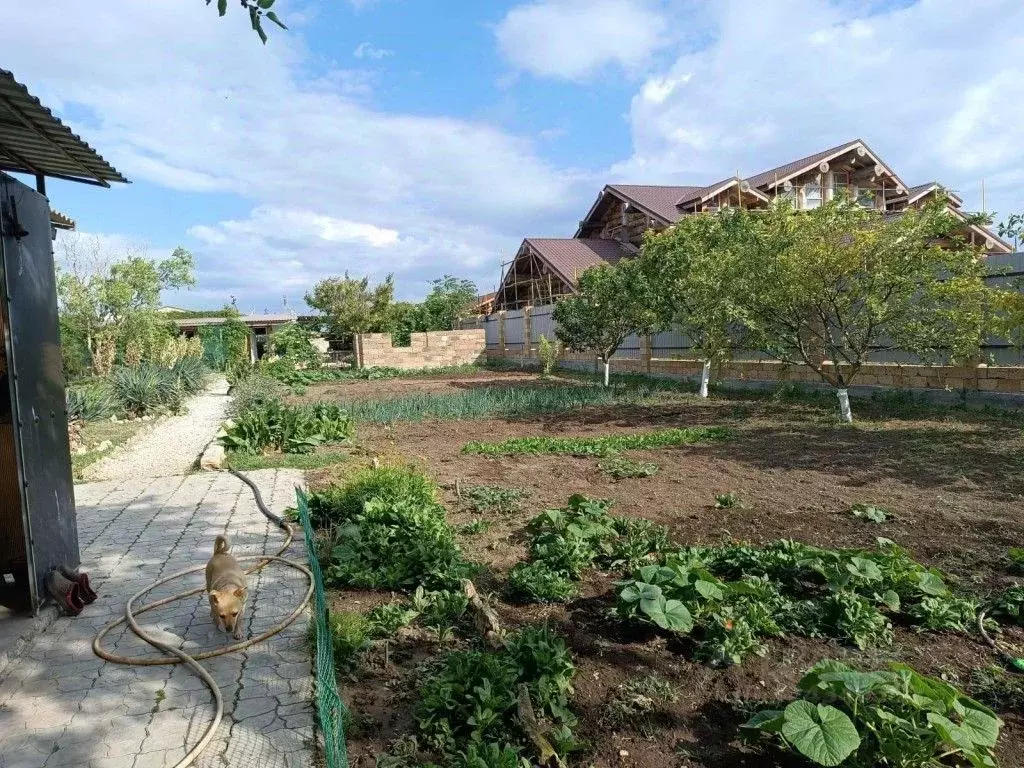 Дом в Крым, Черноморский район, Оленевское с/пос, с. Оленевка  (75 м) - Фото 2