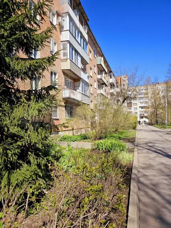 1-к. квартира, 30,7 м, 3/5 эт. - Фото 0