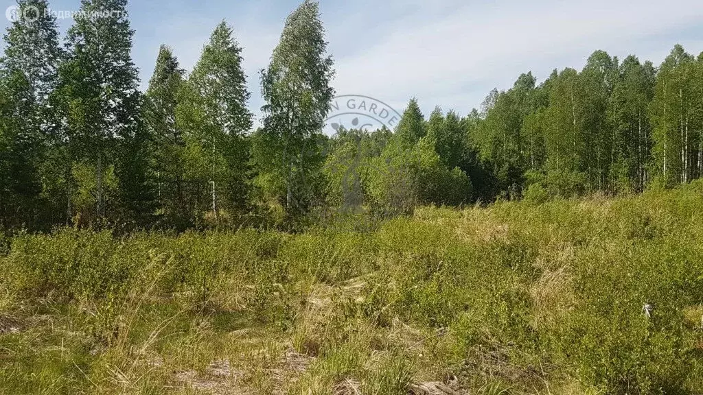 Участок в Свердловская область, Екатеринбург (2395.66 м) - Фото 0