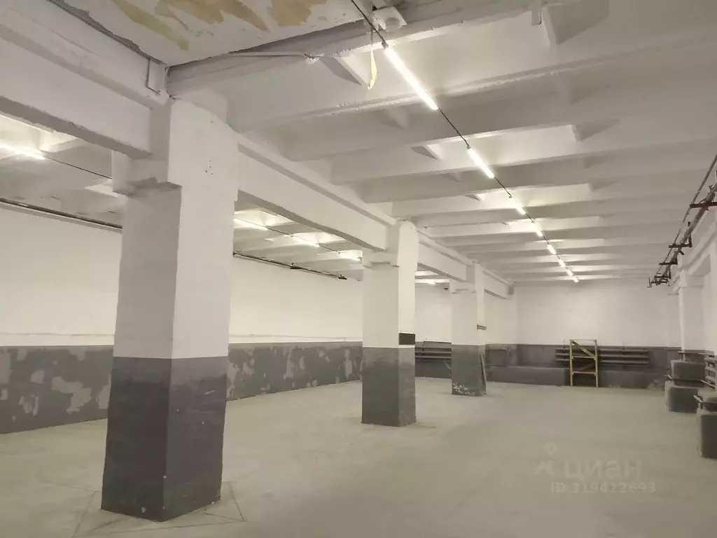 Склад в Новосибирская область, Новосибирск ул. Декабристов, 247к3 (275 ... - Фото 0