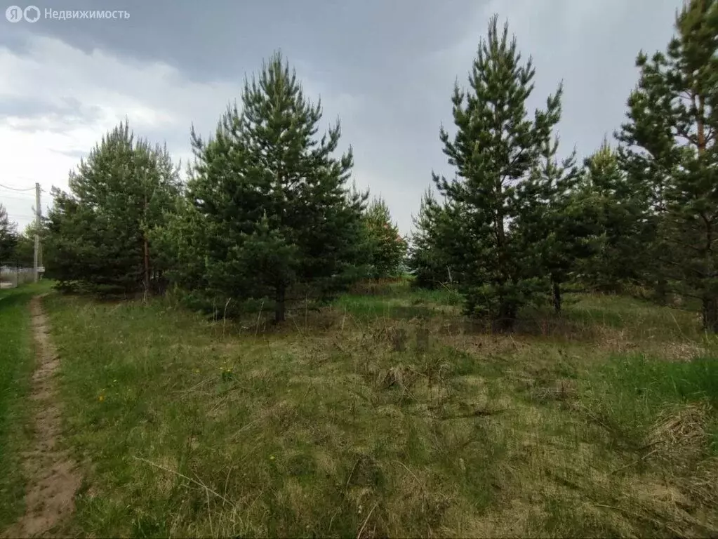 Участок в Челябинская область, Красноармейский муниципальный округ, ... - Фото 1