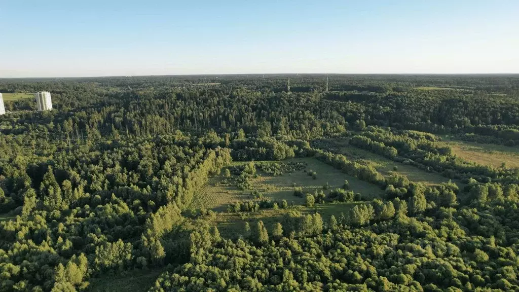 Участок в Московская область, Звенигород Одинцовский городской округ, ... - Фото 1