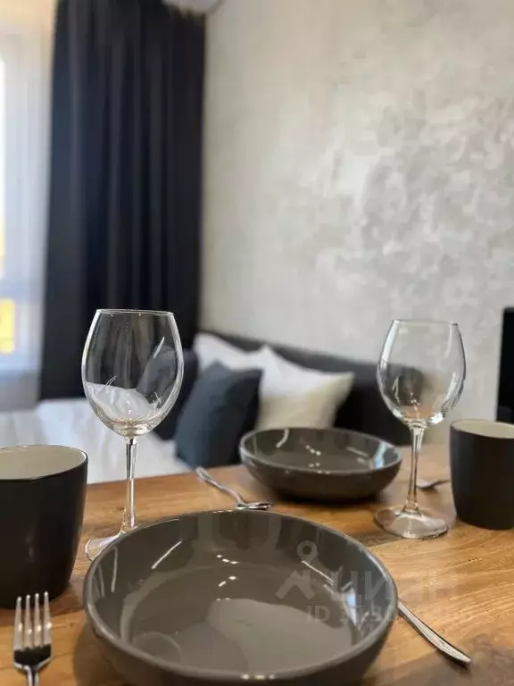 Студия Иркутская область, Иркутск ул. Эдуарда Дьяконова, 14 (24.0 м) - Фото 2