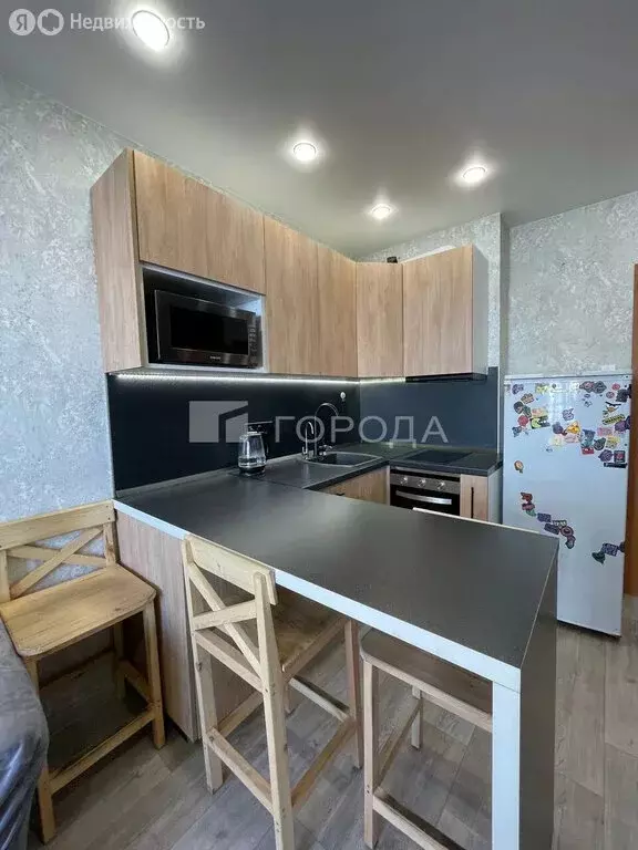 Квартира-студия: Новосибирск, улица Дмитрия Шмонина, 4 (20.4 м) - Фото 1