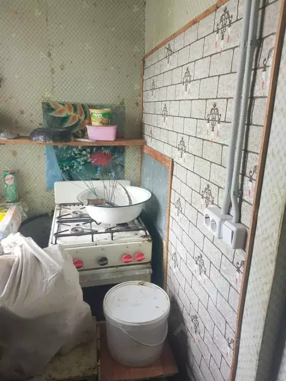 Дом в Вологодская область, д. Маурино (Октябрьский сельсовет) 2 (20 м) - Фото 1