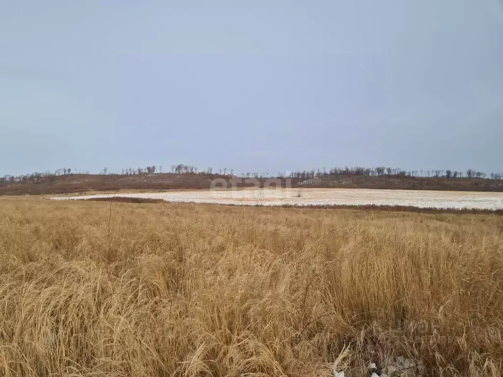 Участок в Амурская область, Благовещенск Игнатьевское ш. (1090.0 сот.) - Фото 1