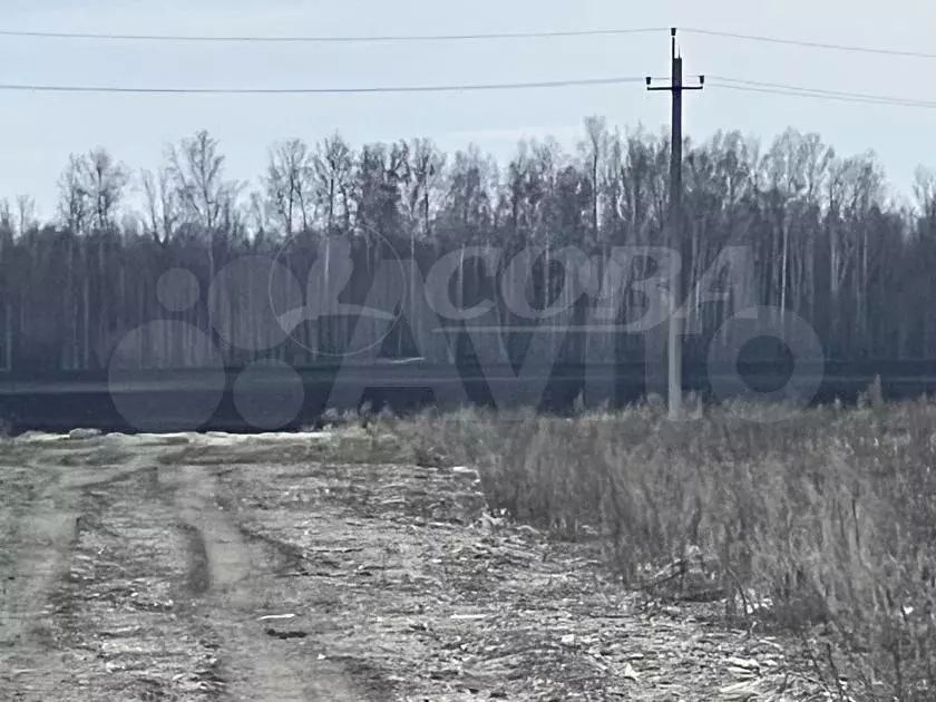 Участок 7,5 сот. (ИЖС) - Фото 1