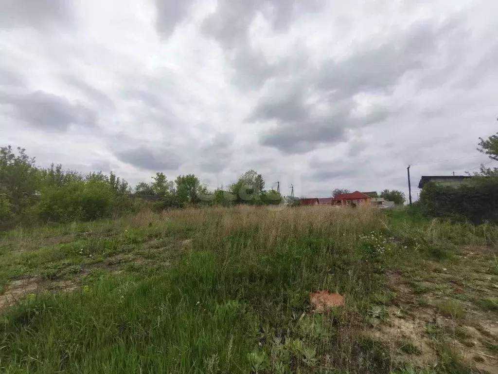 Участок в Белгородская область, Белгородский район, с. Стрелецкое ... - Фото 0