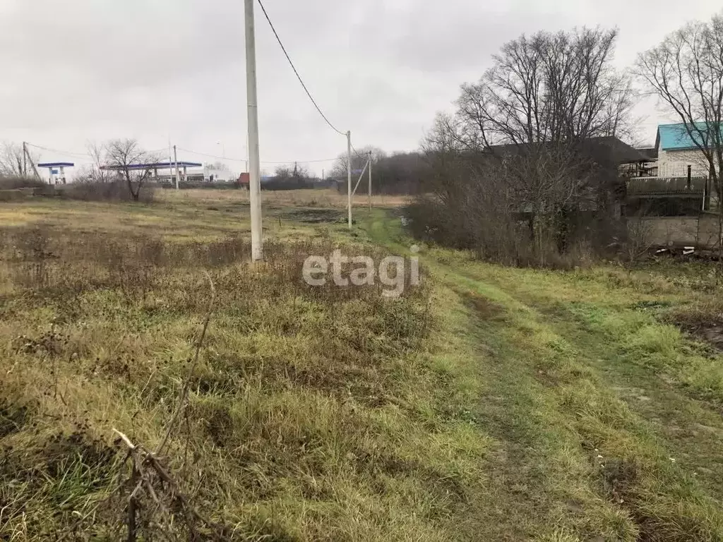 Участок в Белгородская область, Строитель Яковлевский городской округ, ... - Фото 1