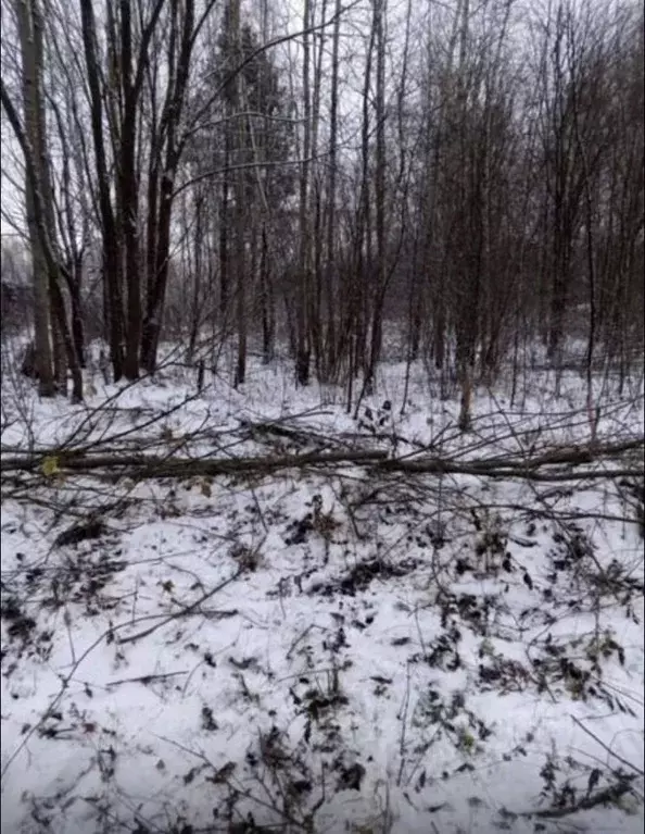Участок в Ярославская область, Ярославский муниципальный округ, д. ... - Фото 1