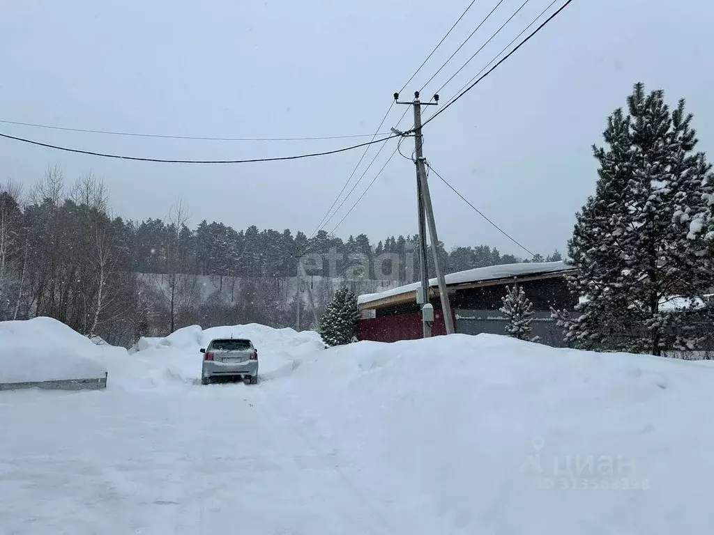 Участок в Новосибирская область, Новосибирский район, Новолуговской ... - Фото 1