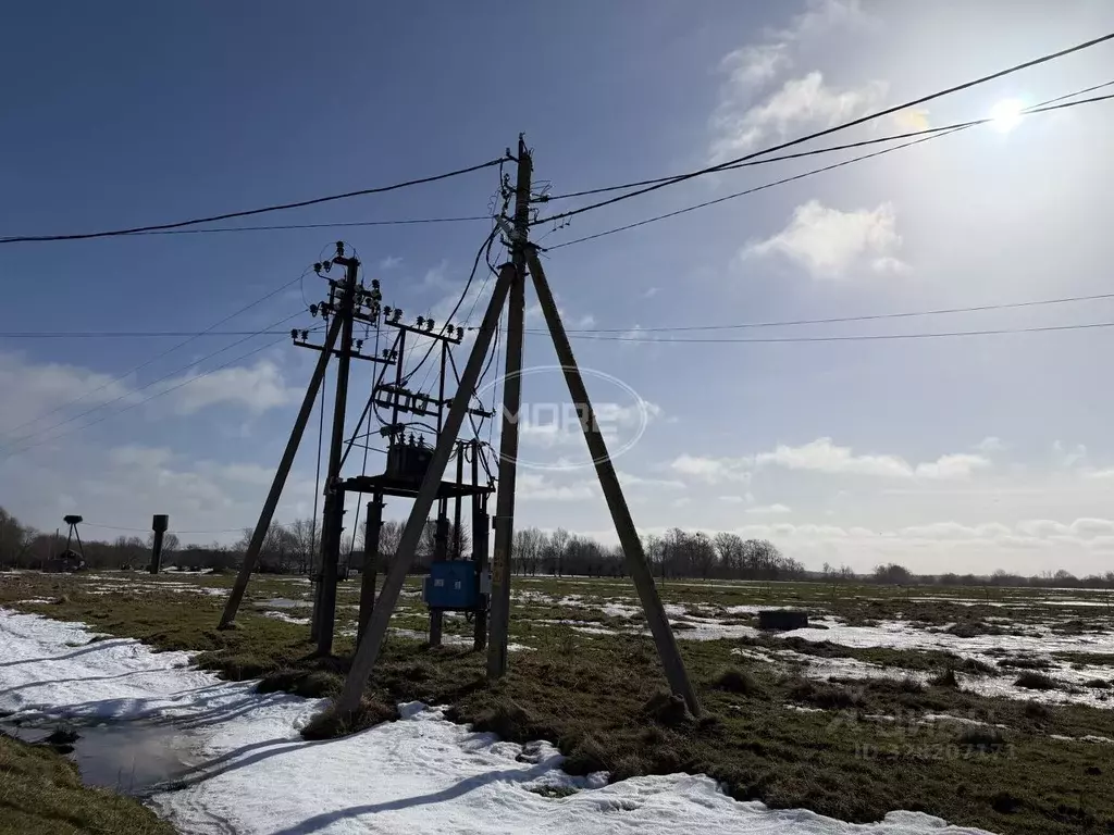 Участок в Калининградская область, Гурьевский муниципальный округ, ... - Фото 2
