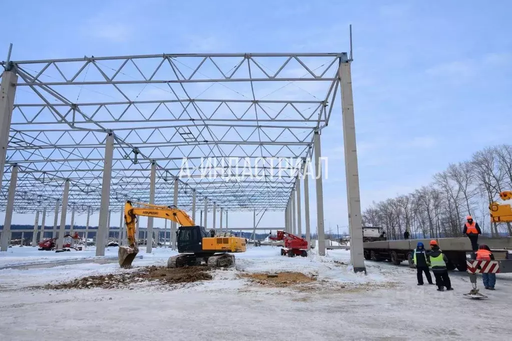 Склад в Московская область, Домодедово городской округ, д. Шахово 60 ... - Фото 1