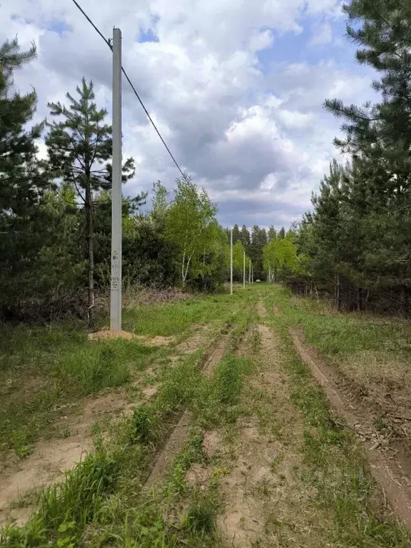 Участок в Нижегородская область, Городецкий муниципальный округ, д. ... - Фото 1