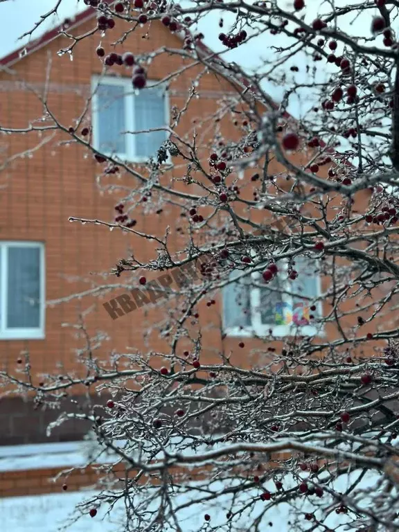 Дом в Калмыкия, Элиста ул. Изотова (146 м) - Фото 2