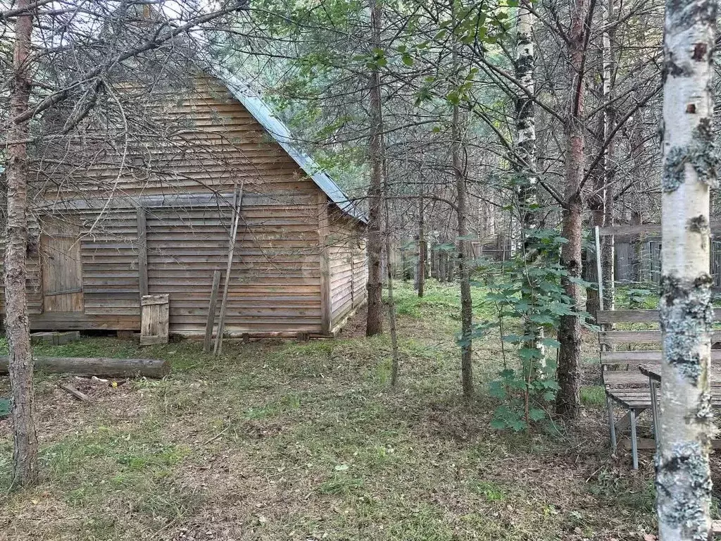 Участок в Вологодская область, Кадуйский муниципальный округ, д. ... - Фото 1