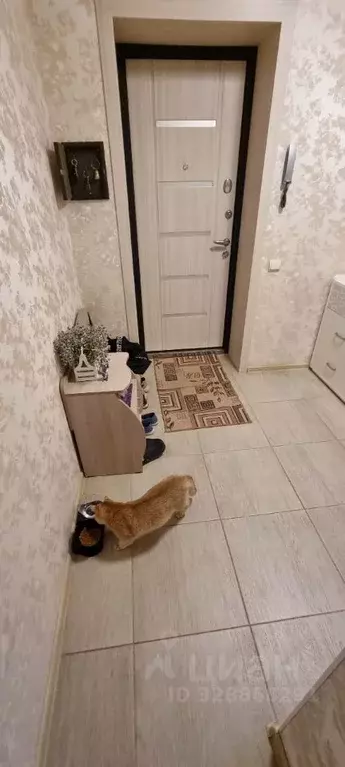 Свободной планировки кв. Волгоградская область, Городище рп ул. ... - Фото 2