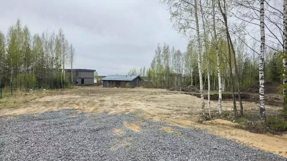 Участок в Ленинградская область, Всеволожский район, Агалатовское ... - Фото 1