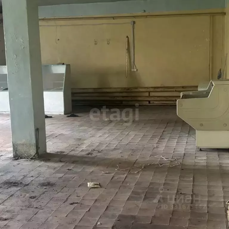 Помещение свободного назначения в Воронежская область, Новоусманский ... - Фото 1