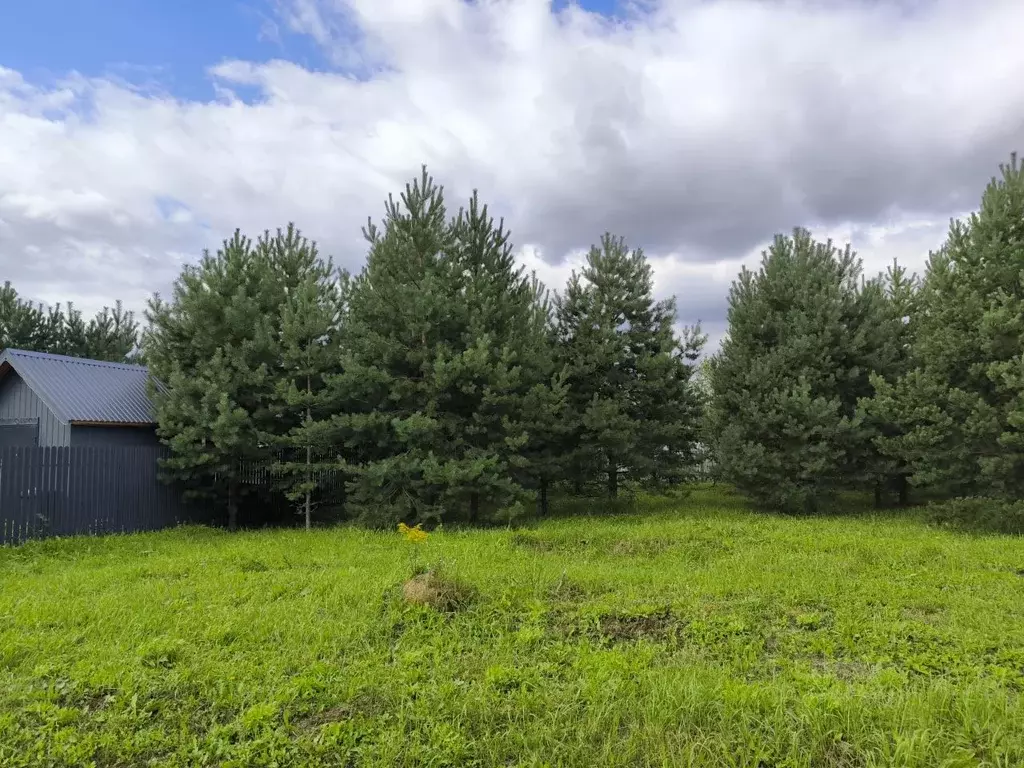 Участок в Московская область, Раменский муниципальный округ, с. Речицы ... - Фото 2