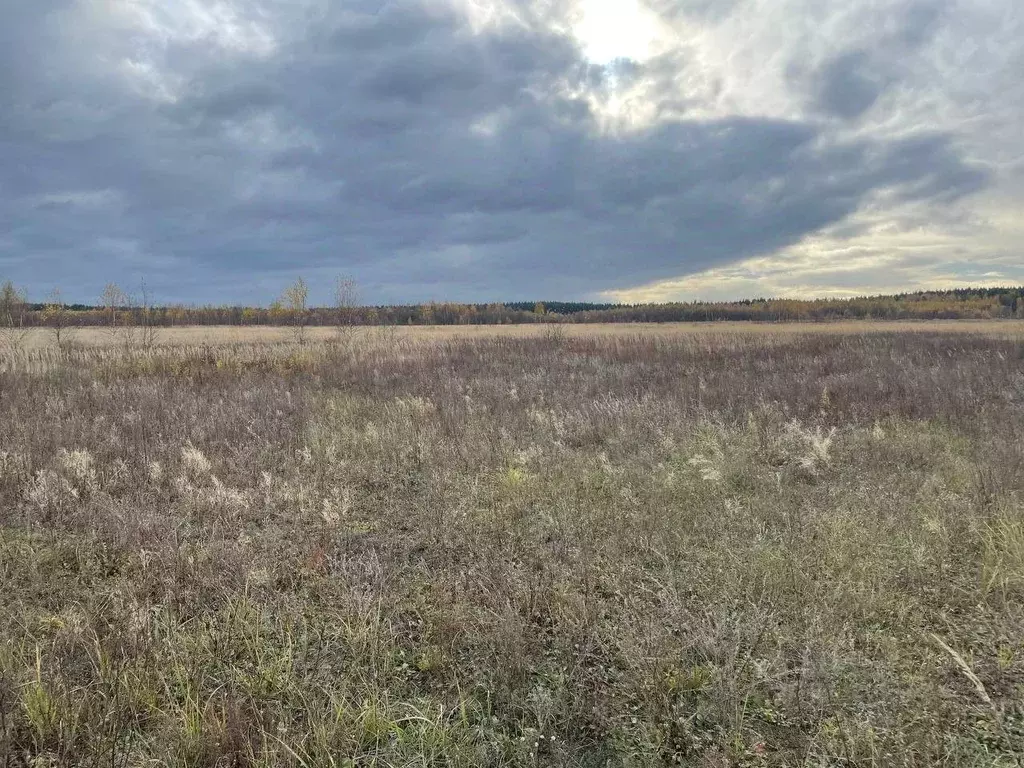 Участок в Московская область, Воскресенск городской округ, Имени ... - Фото 0